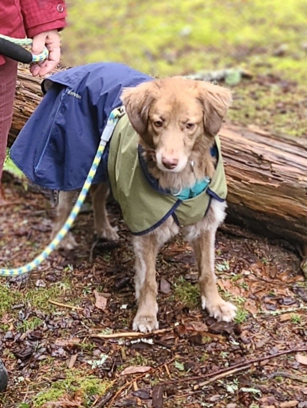 Ruffwear Dog Rain Coat Medium